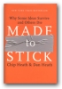 Lessons from Made to Stick: Why Some Ideas Survive and Others Die
